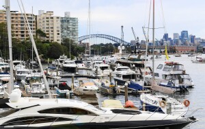 3. Rushcutters